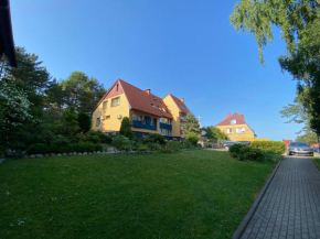 Pilkopė